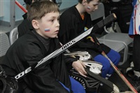 Международный детский хоккейный турнир. 15 мая 2014, Фото: 8