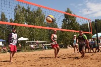 Пляжный волейбол в Барсуках, Фото: 69