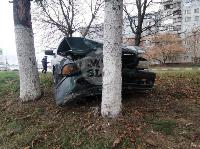 В Туле BMW влетел в дерево: пострадал водитель, Фото: 4