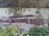 "Кровавая" вода в пруду в Михалково, Фото: 3