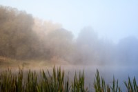 Центральный парк, утро, осень, Фото: 9