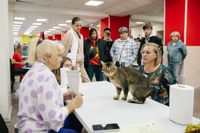 Выставка кошек в Туле, Фото: 118