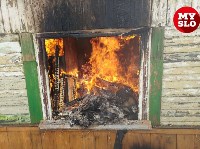 Пожар в Скуратово 18.03.19, Фото: 2