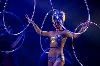 Шоу фонтанов «13 месяцев»: успей увидеть уникальную программу в Тульском цирке, Фото: 80