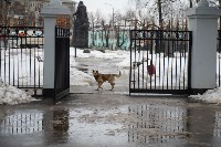 В Комсомольском парке прошёл рейд по выявлению собачников-нарушителей, Фото: 2