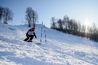 Первый этап чемпионата и первенства Тульской области по горнолыжному спорту, Фото: 120