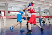 В Тульской области проходит областное первенство по боксу, Фото: 84
