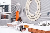 Снегопад в Туле 11 января, Фото: 43