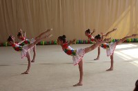 Каратэ, гимнастика и другой спорт для детей в Туле, Фото: 4