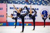 Соревнования по эстетической гимнастике «Кубок Роксэт», Фото: 144