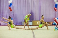 Всероссийские соревнования по художественной гимнастике на призы Посевиной, Фото: 75