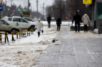 Улицы Тулы сковало льдом: фоторепортаж	, Фото: 10