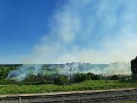 Тульский парк «Патриот» заволокло дымом, Фото: 1