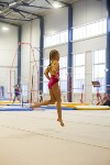 Спортивная гимнастика в Туле 3.12, Фото: 97