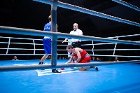 Финал "Гран-При Тулы" по боксу, Фото: 61