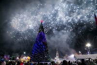 Открытие новогодней ёлки на площади Ленина, Фото: 45