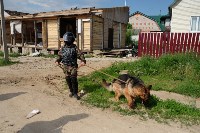 В Плеханово начали сносить дома в цыганском таборе, Фото: 91