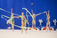 Соревнования по художественной гимнастике на призы благотворительного фонда «Земляки», Фото: 154
