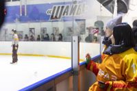 Команда ЕВРАЗ обыграла соперников в отборочном матче Тульской любительской хоккейной Лиги, Фото: 30