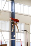 Спортивная гимнастика в Туле 3.12, Фото: 12