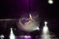 Цирк на воде «Остров сокровищ» в Туле: Здесь невозможное становится возможным, Фото: 122