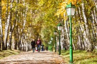 Золотая осень в Ясной Поляне, Фото: 63