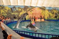 Шоу карибских дельфинов, Фото: 15