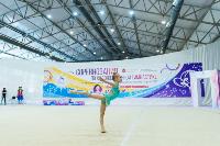 Тула провела крупный турнир по художественной гимнастике, Фото: 41