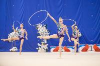 Соревнования по художественной гимнастике на призы благотворительного фонда «Земляки», Фото: 109