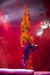 Шоу фонтанов «13 месяцев»: успей увидеть уникальную программу в Тульском цирке, Фото: 6