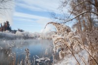 Зимняя сказка по-тульски, Фото: 53