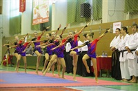 Открытое первенство и чемпионат Тульской области по сётокану, Фото: 18