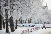 Зимняя сказка по-тульски, Фото: 31