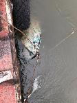 Столкновения баржи и лодки на Оке в Алексине: фото и видео с места событий, Фото: 17