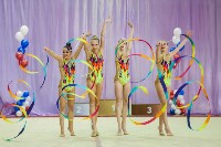 Всероссийские соревнования по художественной гимнастике на призы Посевиной, Фото: 169