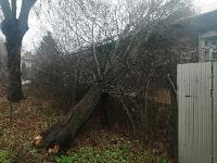 Штормовой ветер в Тульской области валил деревья, заборы и повредил крыши, Фото: 22