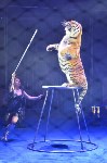 Цирковое шоу, Фото: 109