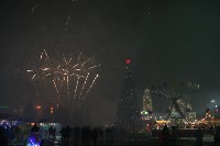 Открытие главной ёлки на площади Ленина, Фото: 56