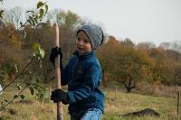 В Ясной Поляне посадили яблони, Фото: 50