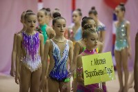 Всероссийский турнир по художественной гимнастике, Фото: 37