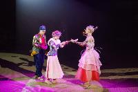 Премьера в Тульском цирке: шоу фонтанов «13 месяцев» удивит вас!, Фото: 15