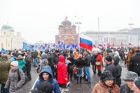 Митинг-концерт в честь годовщины присоединения Крыма к России, Фото: 18