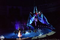 Цирк на воде «Остров сокровищ» в Туле: Здесь невозможное становится возможным, Фото: 112