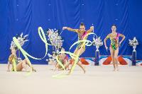 Соревнования по художественной гимнастике на призы благотворительного фонда «Земляки», Фото: 155