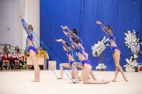 Соревнования по художественной гимнастике на призы благотворительного фонда «Земляки», Фото: 18