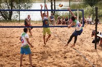 Пляжный волейбол в Барсуках, Фото: 134