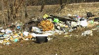 Поселок Славный в Тульской области зарастает мусором, Фото: 27