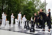 "Большие шахматы" в Центральном парке, Фото: 12