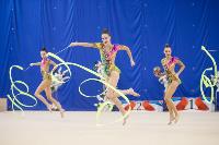 Соревнования по художественной гимнастике на призы благотворительного фонда «Земляки», Фото: 165