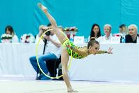 Тула провела крупный турнир по художественной гимнастике, Фото: 136